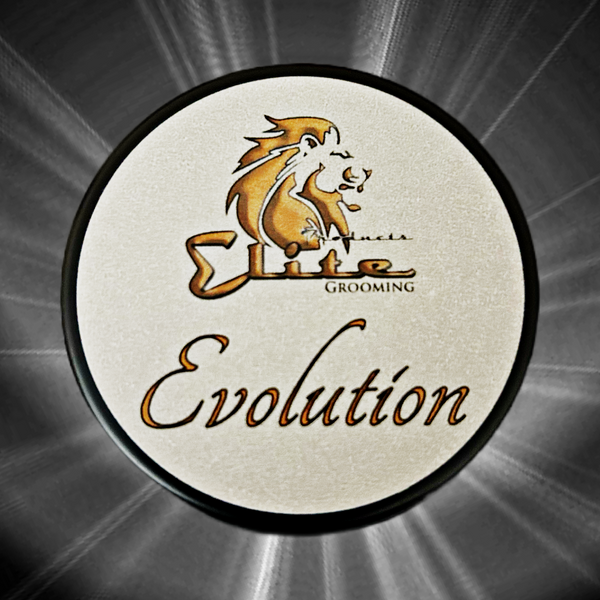 Evolution