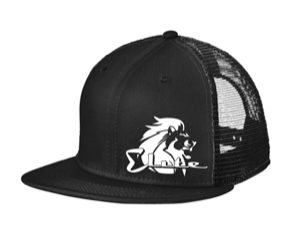 Gear & Products