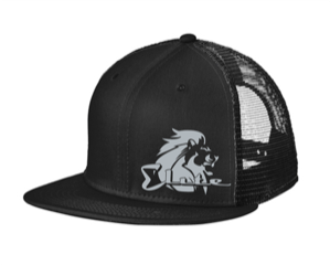 Gear & Products