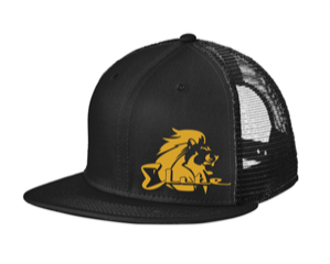 Gear & Products